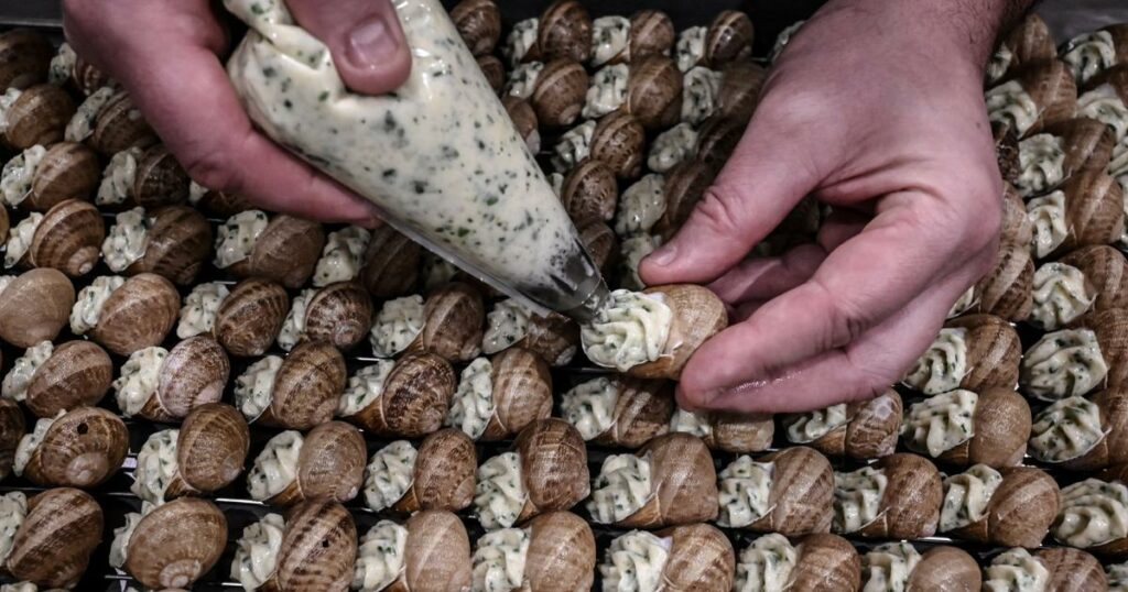 La France, le pays où le goûter est roi et l’escargot comestible