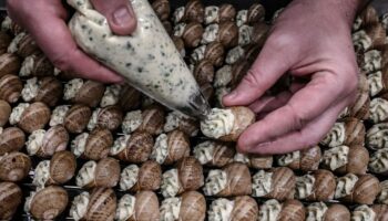 La France, le pays où le goûter est roi et l’escargot comestible