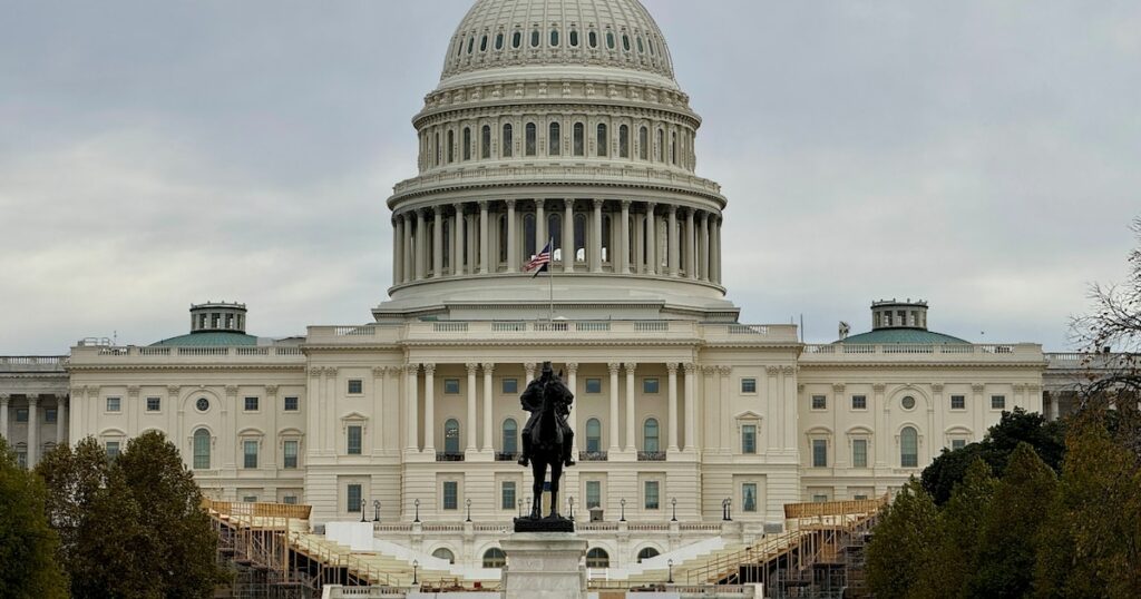 Le Capitole des Etats-Unis à Washington, le 10 novembre 2024