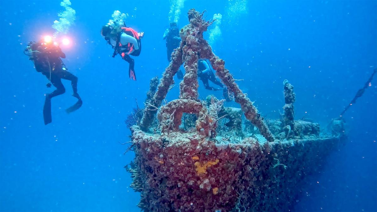 Wie Florida mit Strommasten Korallen rettet