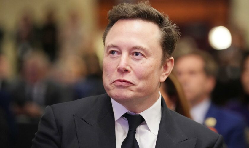 Après Donald Trump, Elon Musk soutient l’AfD, parti d’extrême droite allemand