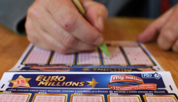 Résultat de l'Euromillions (FDJ) : le tirage du vendredi 20 décembre 2024, 17 millions d'euros en jeu