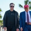 X-Inhaber und Tesla-Chef Elon Musk hat sich immer näher an den designierten US-Präsidenten Donald Trump herangearbeitet und ist