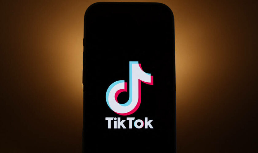 TikTok banni d’Albanie pendant au moins un an