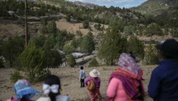 « Nous rendons une terre à ses propriétaires » : le Mexique restitue 2 000 hectares à des communautés autochtones