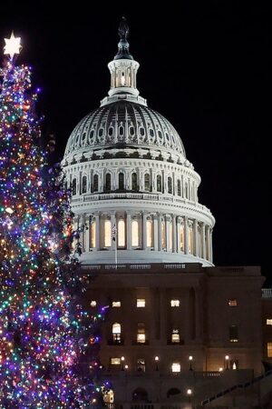 Rockin’ around the congressional Christmas tree