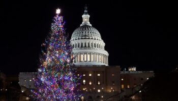 Rockin’ around the congressional Christmas tree