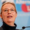 Weidel ist nun genauso beliebt wie der CDU-Kanzlerkandidat