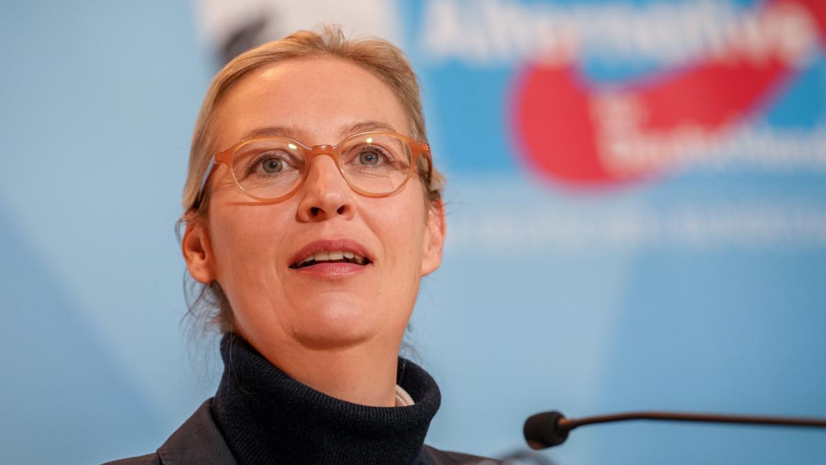 Weidel ist nun genauso beliebt wie der CDU-Kanzlerkandidat