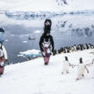 Du ski sur les icebergs de l’Antarctique