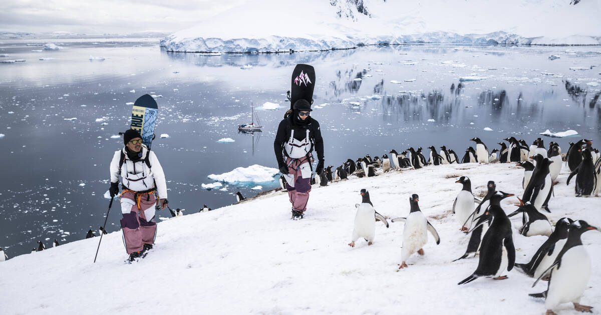 Du ski sur les icebergs de l’Antarctique