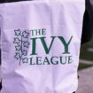 Report highlights prevalence of DEI at Ivy League institutions: 'Dominant ideology'