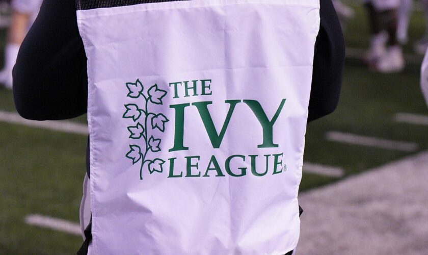 Report highlights prevalence of DEI at Ivy League institutions: 'Dominant ideology'