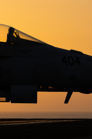 Two US Navy pilots shot down over Red Sea in apparent 'friendly fire' incident: US military