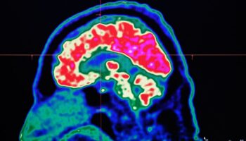 Scientists measure exact speed of human thought and the results are surprising