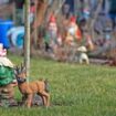 Weihnachten im Garten: Was Schrebergärten über Gemeinschaft lehren