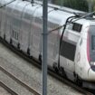 SNCF : d'importants retards pour une dizaine de TGV après un "accident de personne" en Seine-et-Marne