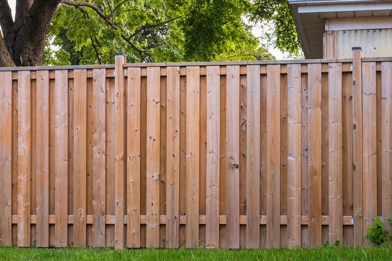 Certains jardiniers font un trou en bas de leur clôture - ce geste méconnu est pourtant très utile