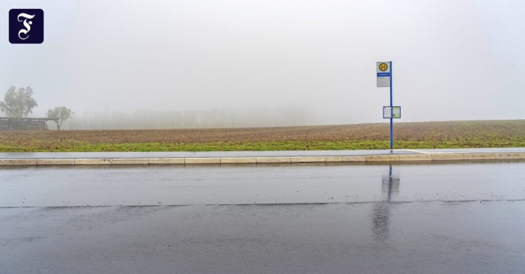 Verkehrswende: Die neuen Busse, auf die niemand gewartet hat