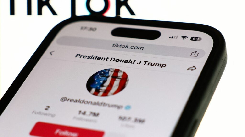 Etats-Unis : Donald Trump exhorte la Cour suprême à suspendre la loi menaçant TikTok d'interdiction