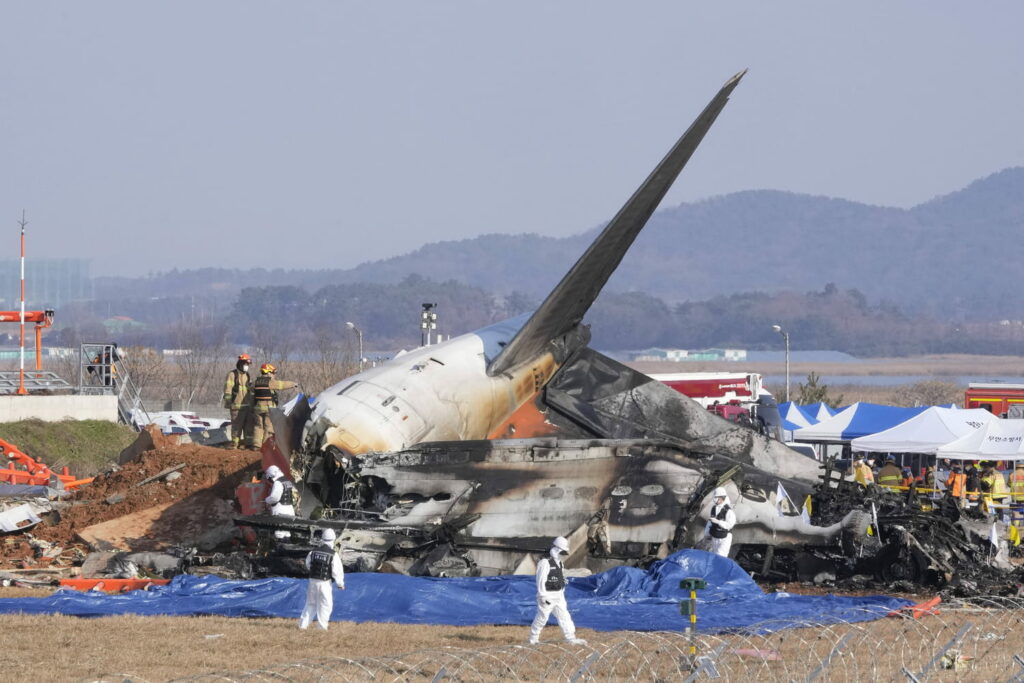 Crash d'avion en Corée du Sud : des oiseaux en cause ? La terrible vidéo du drame