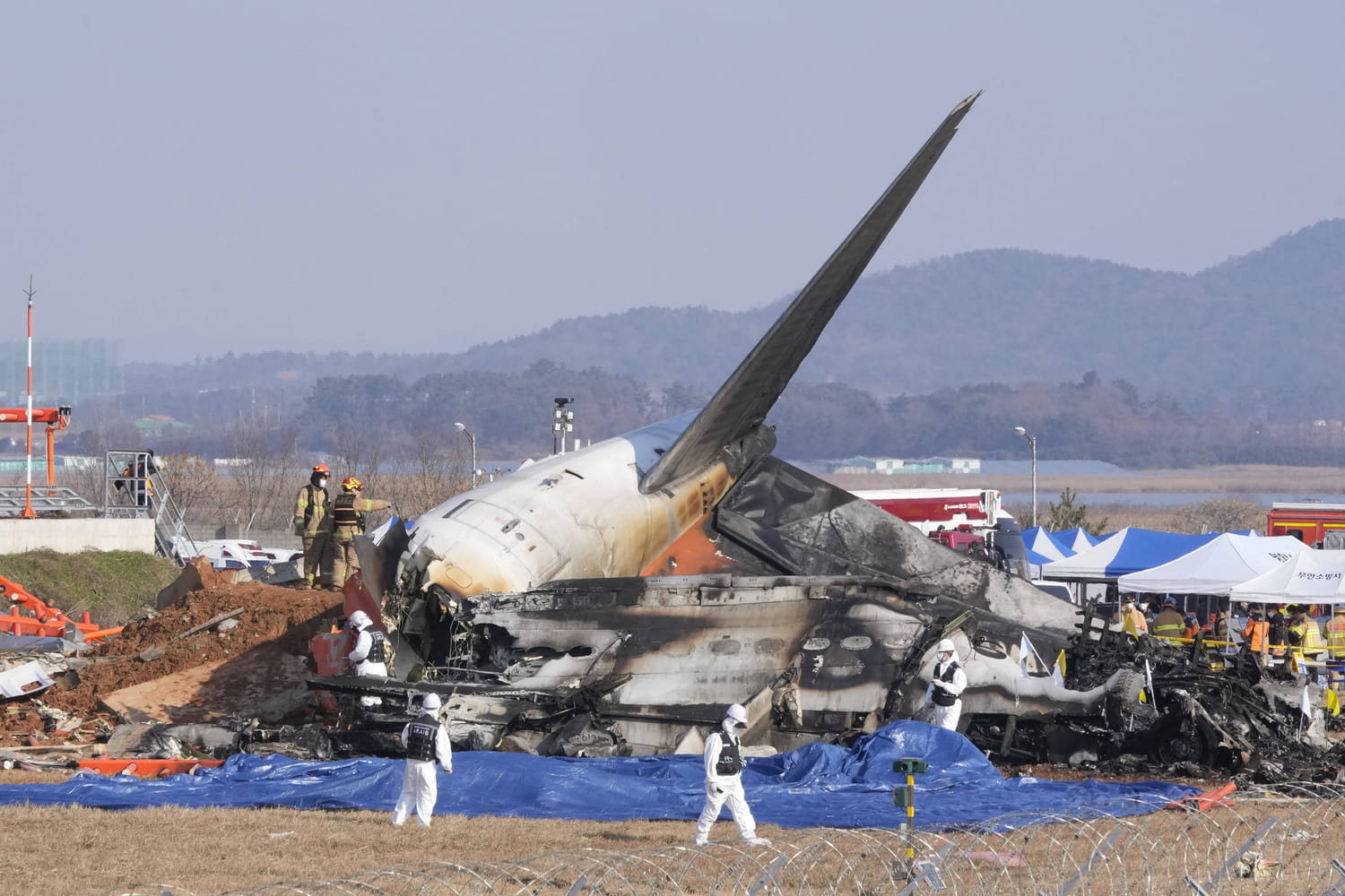 Crash d'avion en Corée du Sud : des oiseaux en cause ? La terrible vidéo du drame