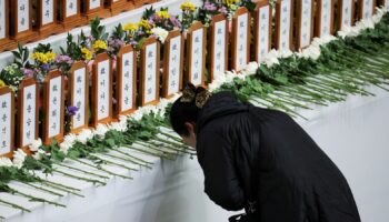 A woman prays at a memorial altar for the victims of the Jeju Air crash. REUTERS/Kim Hong-ji