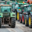 Mobilisation des agriculteurs : pourquoi sont-ils appelés à "bloquer" Paris dimanche 5 janvier