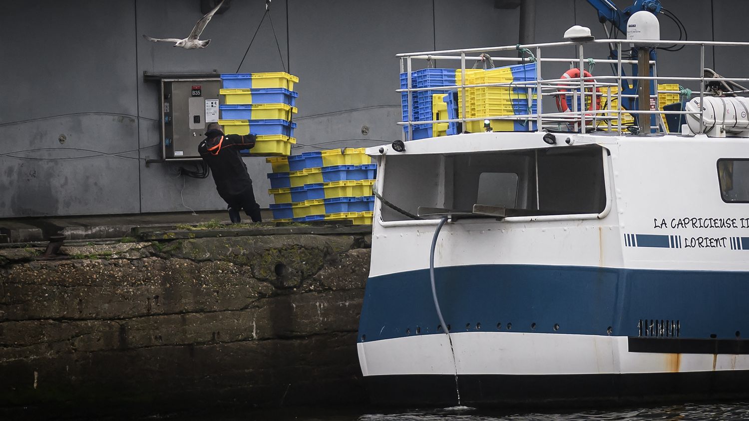 Interdiction de la pêche dans le golfe de Gascogne : l'Union française des pêcheurs-artisans ne "comprend pas" la décision du Conseil d'État