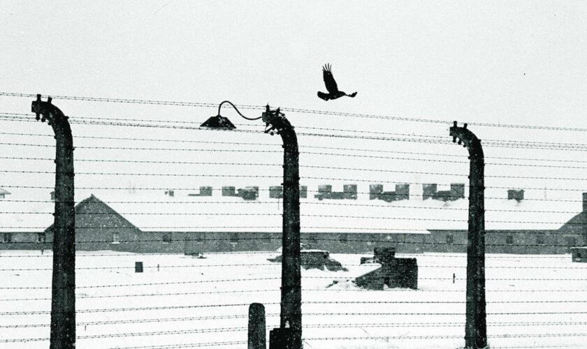 « Le Crématorium froid », par József Debreczeni : Auschwitz et après