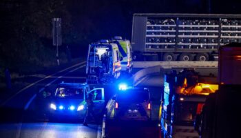 26 Verletzte, acht davon schwer: Crashfahrt auf der A1: Videoaufnahmen zeigen Ausmaß der Zerstörung