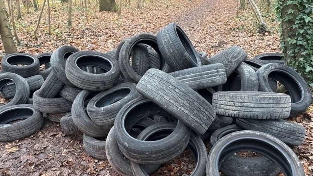 À Paris, le bois de Vincennes comme décharge sauvage : plus de 400 pneus usagés retrouvés depuis un mois