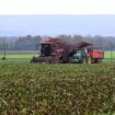 Agriculture : « Il est de notre responsabilité, en tant que scientifiques, de résister aux pressions des lobbys »