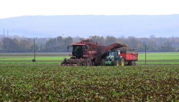 Agriculture : « Il est de notre responsabilité, en tant que scientifiques, de résister aux pressions des lobbys »