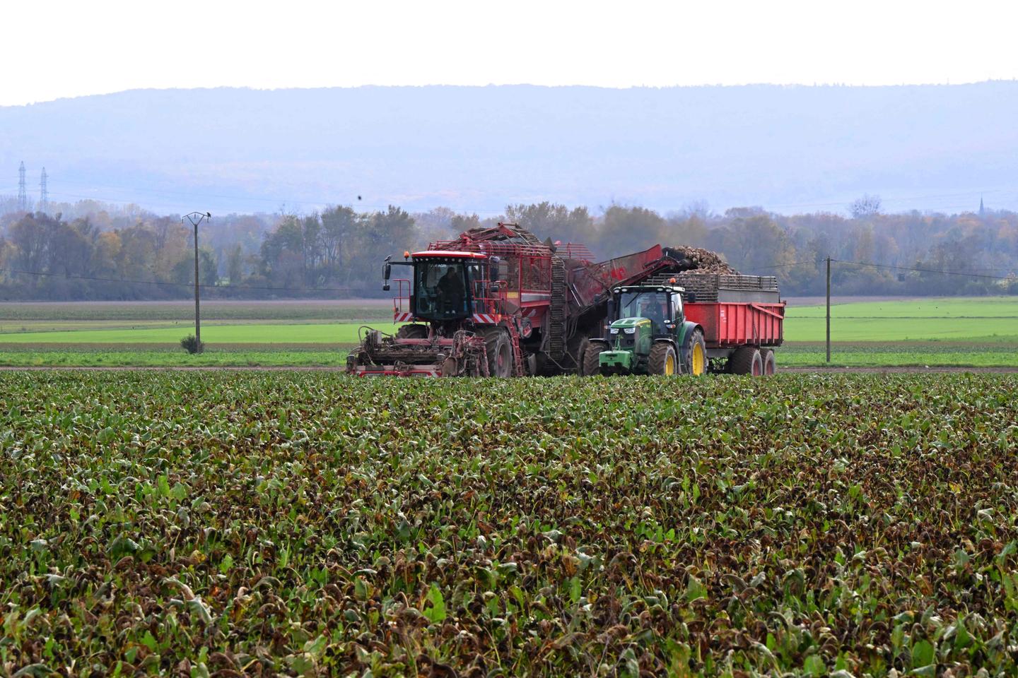 Agriculture : « Il est de notre responsabilité, en tant que scientifiques, de résister aux pressions des lobbys »