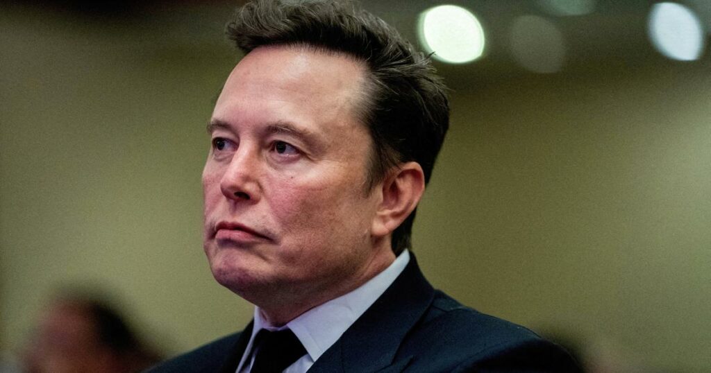 Allemagne : le gouvernement reproche à Elon Musk d'essayer «d'influencer» les prochaines élections