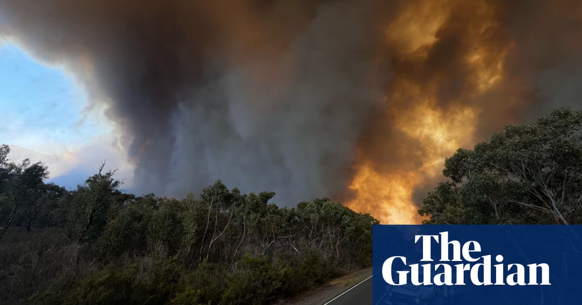 Australian bushfire smoke detected over Antarctica for first time since black summer