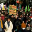 Autoroute A69 : à Toulouse, des manifestants demandent une suspension du chantier