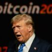 Bitcoin à 100.000 dollars : ces autres cryptomonnaies dont le cours a explosé depuis l’élection de Trump