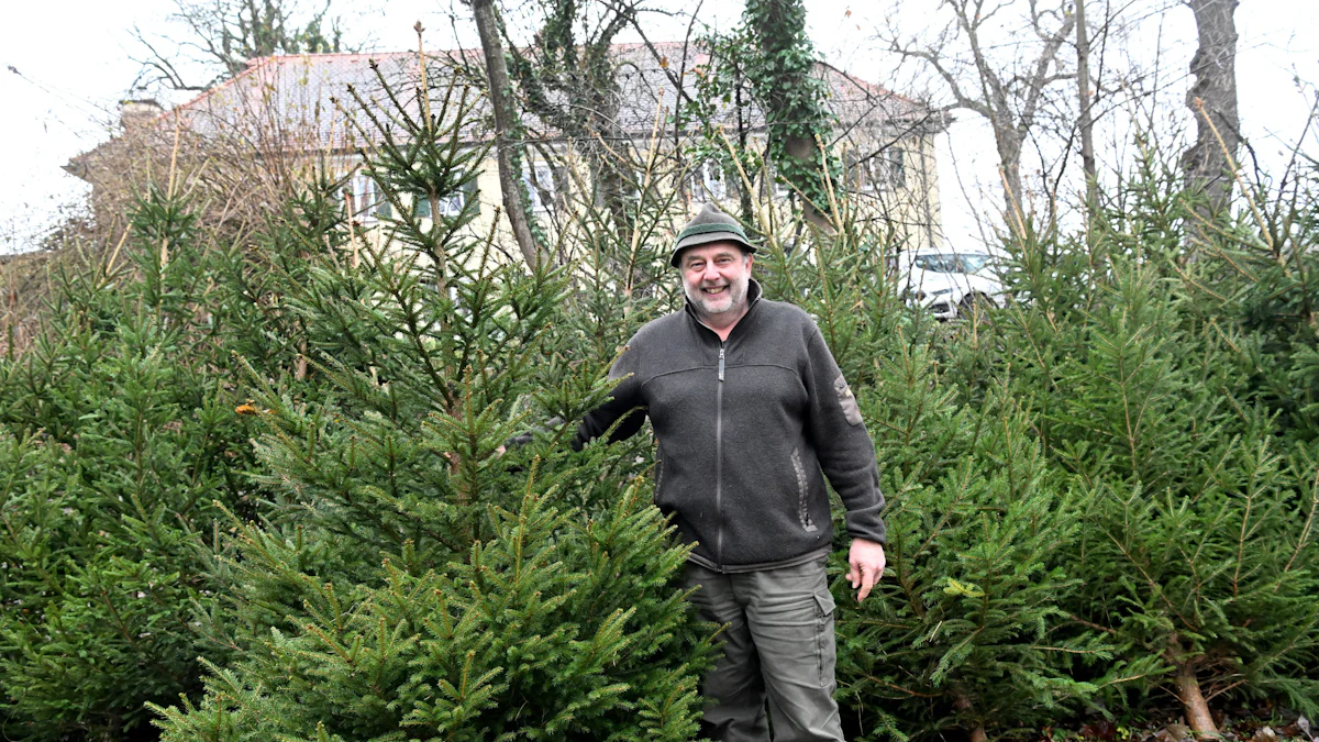 Brauchtum: Weihnachtszauber ohne schlechtes Gewissen