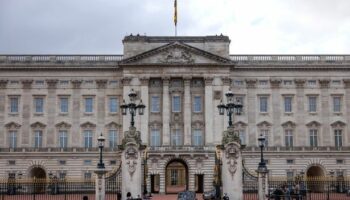 Buckingham Palace worker 'arrested as boozy staff Christmas party spirals out of control'