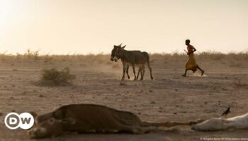 COP16 - Wie kann die Desertifikation aufgehalten werden?