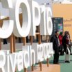 COP16 : les négociations s’achèvent à Riyad sans un accord sur la sécheresse