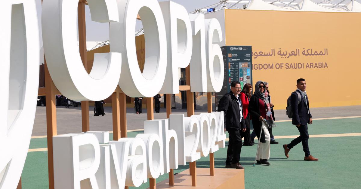 COP16 : les négociations s’achèvent à Riyad sans un accord sur la sécheresse