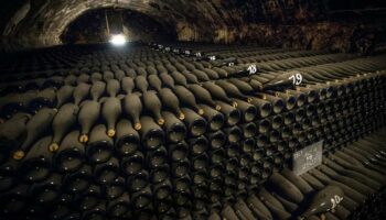 «Ces magnums sont un trésor unique»: dans les petits et les grands secrets du champagne Bollinger