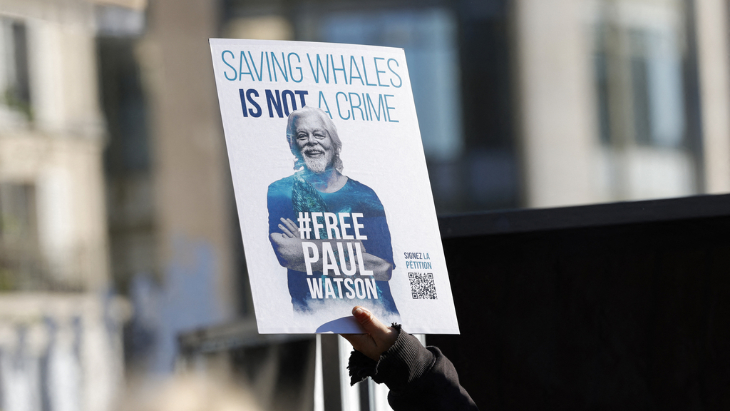 Chasse à la baleine: Paul Watson reste en prison jusqu'au 18 décembre