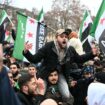 Chute de Bachar Al-Assad : en Allemagne, en Autriche ou en Grèce, la diaspora syrienne en liesse reste prudente sur un éventuel retour au pays