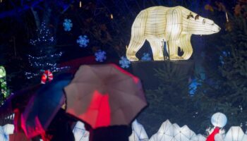 Climat, biodiversité : les 20 livres de Noël de « Chaleur humaine » 2024