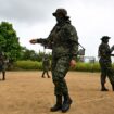 Colombie : au moins 12 morts dans des combats entre factions rivales de la dissidence des FARC