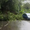 Cyclone Chido : en alerte violette, le plus haut niveau, Mayotte se barricade